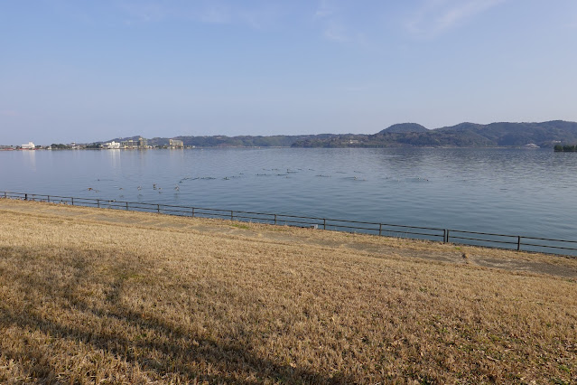 鳥取県東伯郡湯梨浜町野花