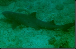 IMG_0093 IMG_0093