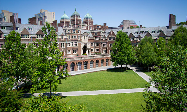 The Top 10 best Universities in the World