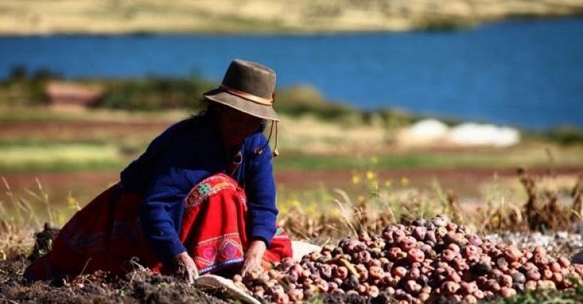 Día del campesino / 24 Junio (Calendario Cívico Escolar)