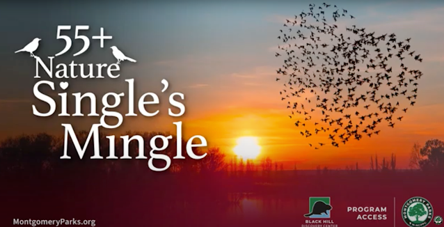 55-and-Over ‘Nature Singles Mingle’ and Maple Sugar Walking Among February Special Events and Programs from Montgomery Parks