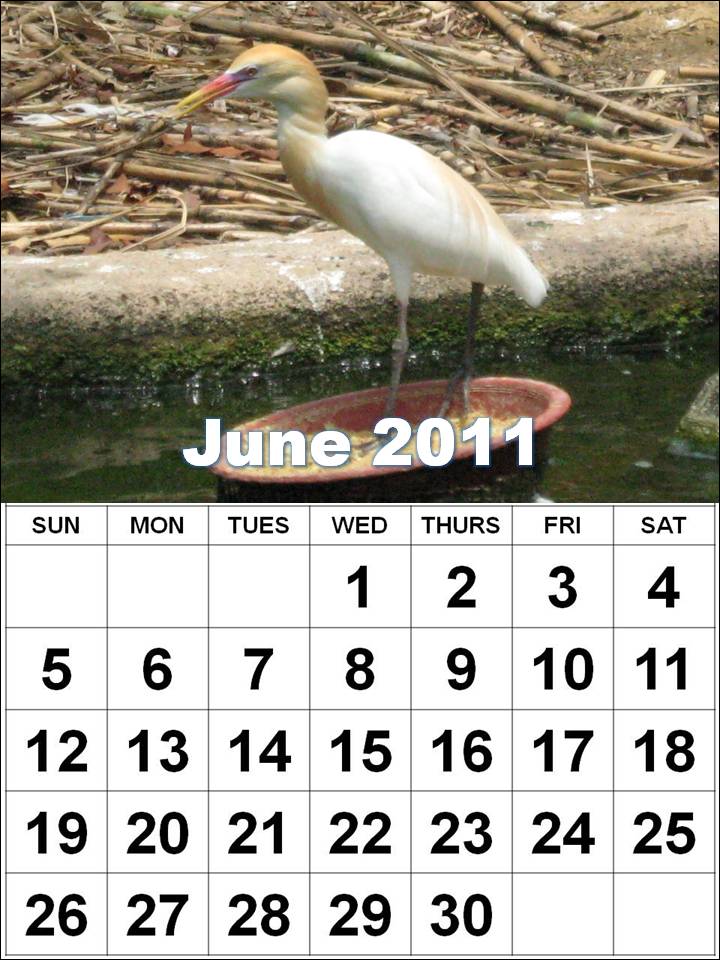 printable june 2011 calendar. june 2011 calendar printable.