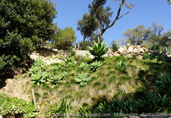 18 - Glória Ishizaka - Parque de Monserrate - Sintra - 2012