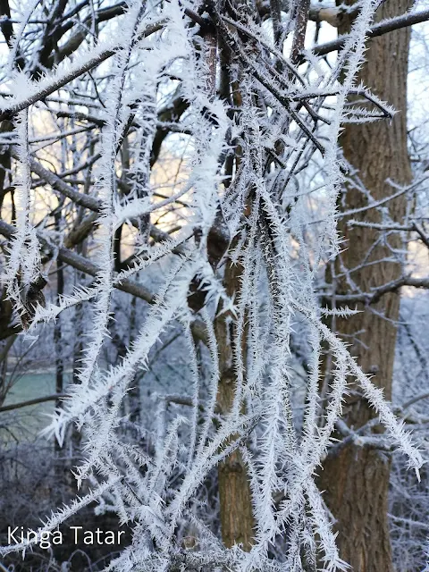 Jahresrueckblick-Winter