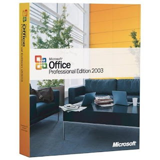 Microsoft Office 2003 Professional incl. serial