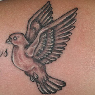 lower back dove tattoos