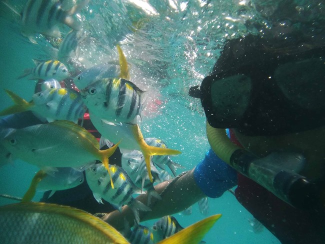 gambar cantik snorkeling di pulau renggis
