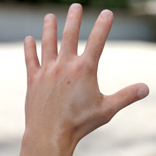 3d model male hand