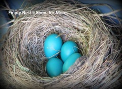 Robin's%20egg%20nest