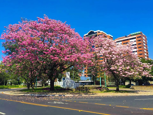 guatemala city 2018 // ciudad de guatemala 2018 // guatemala 