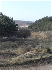 SDC11164
