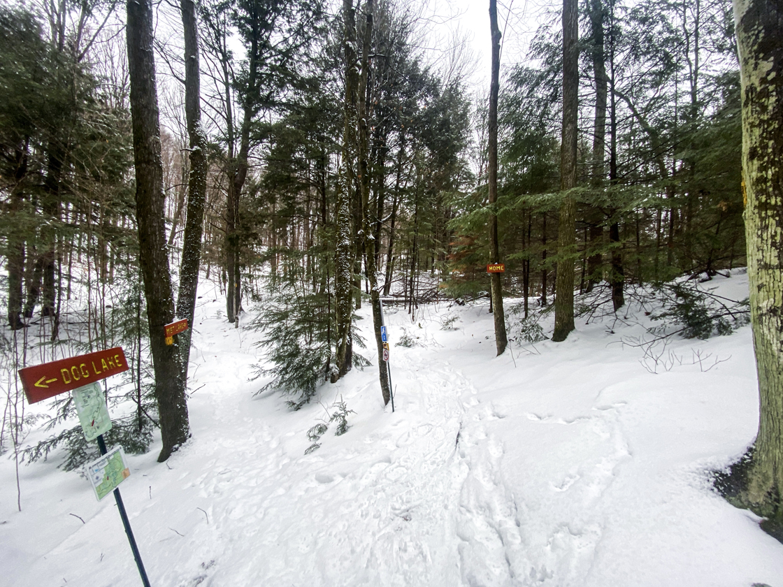 three trail intersection with directional signs