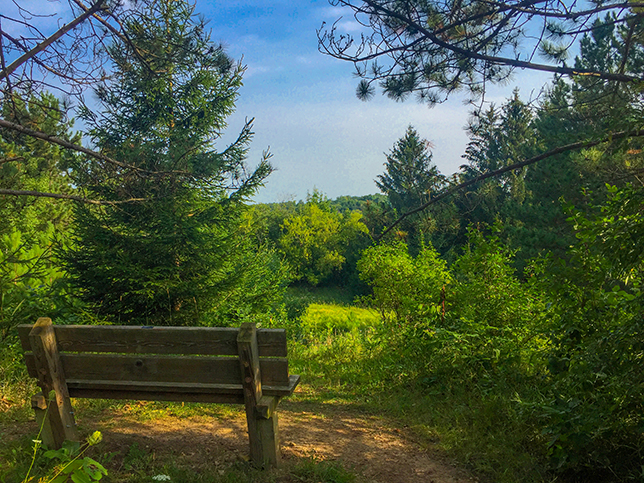 Ice Age National Trail - Holy Hill Segment