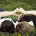Image Of Lovers Couple & Romantic HD Desktop Wallpaper Download Free 1920x1080