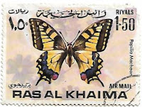Ras Al-khaimah, Papilio Machaon