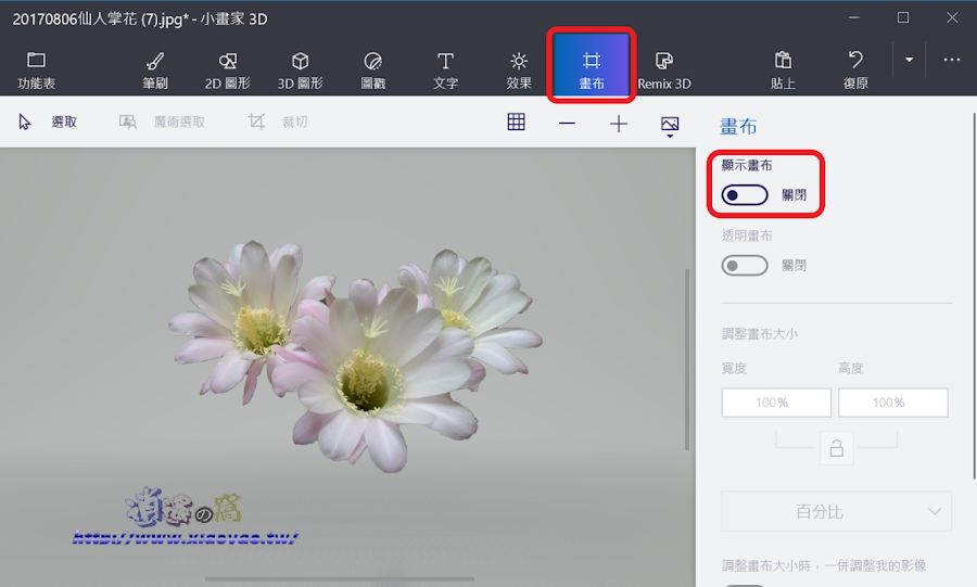 小畫家 3D 簡單完成照片去背處理