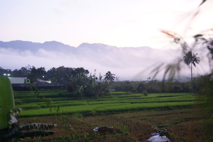 Foto Landscape di sekitar Pekuncen, Ajibarang Kab. Banyumas, Jawa Tengah
