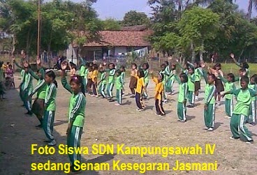 DESAKU KAMPUNGSAWAH KECAMATAN JAYAKERTA