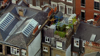 Roof top garden