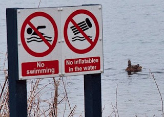 Rebellious duck