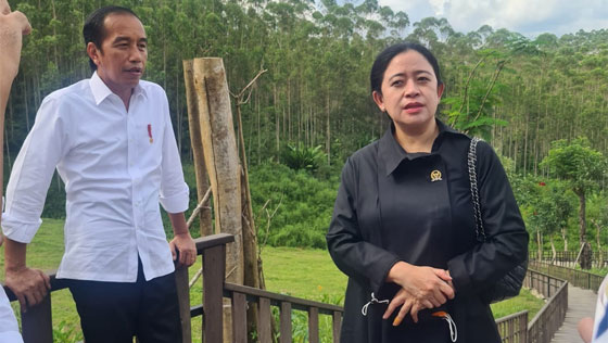 Jokowi bersama Puan Maharani tinjau IKN