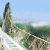 glass bridge china सिशाको ठुलो आकासे पुल