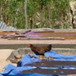 View album