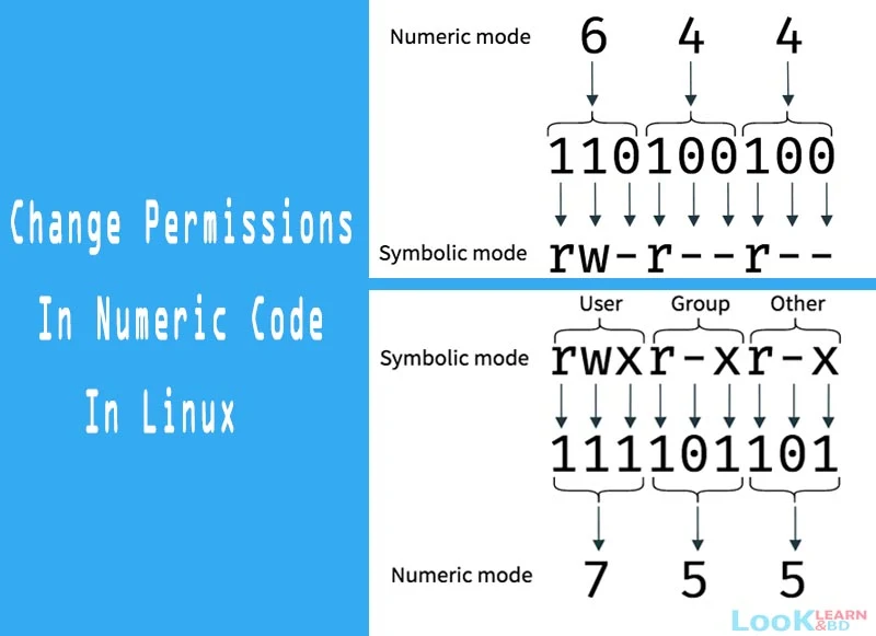 How to change file permissions in Linux with chmod - lookandlearnbd