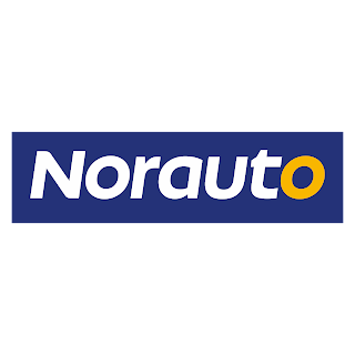 Norauto Logo Vector Format (CDR, EPS, AI, SVG, PNG)