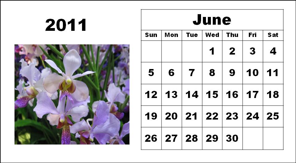 june calendar 2011 printable. PRINTABLE JUNE 2010 CALENDAR