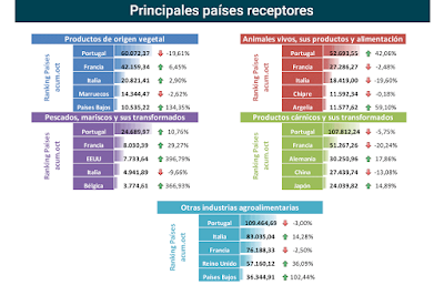 asesores económicos independientes 137-10 Javier Méndez Lirón