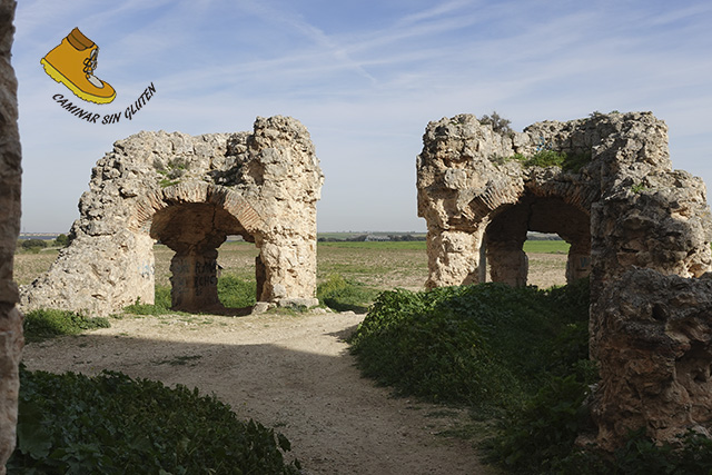 Ruinas de las torres de entrada del Castillo de Barciene