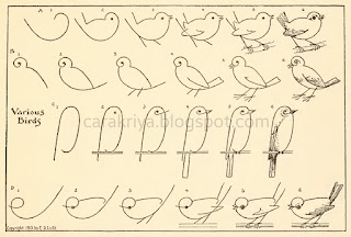 Cara-praktis-menggambar-aneka-burung