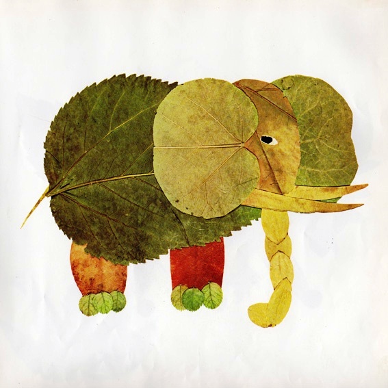 leaf animals