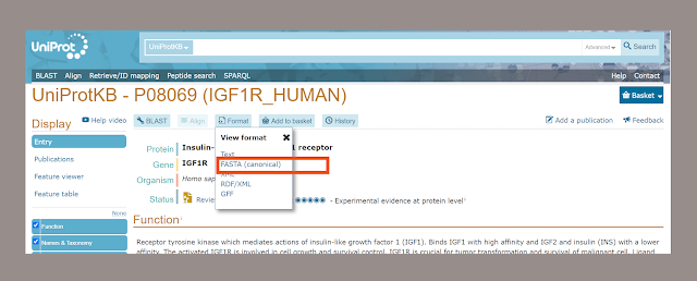 protein sequence | uniprot