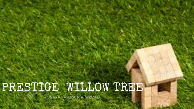 Prestige willow tree
