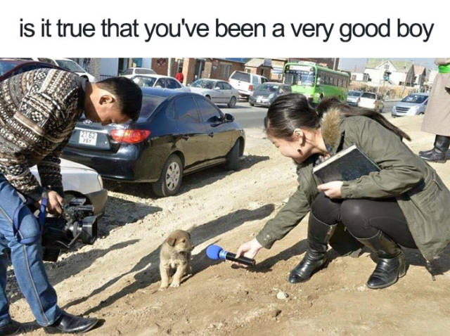 Is it true that you've been a very good boy.