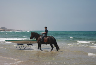 Пляж море кони Бат-Ям Израиль