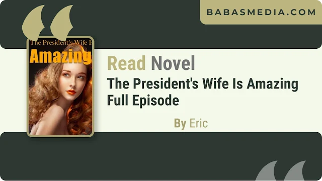 Cover The President's Wife Is Amazing Novel By Eric