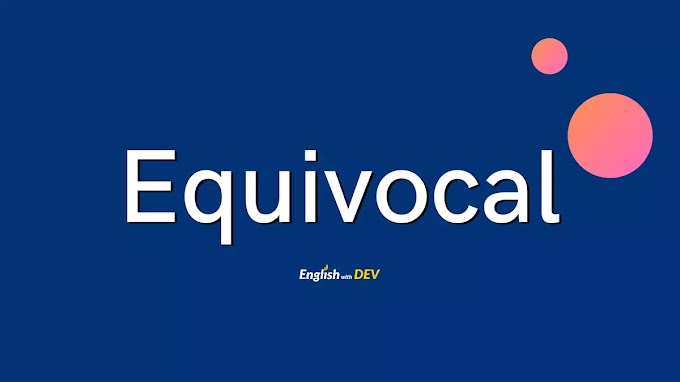Equivocal Definition & Meaning