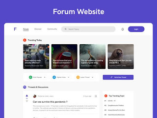 Forum and Community Websites