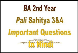 BA 2nd Year Pali Bhasha Question