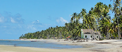 Fotos da Praia dos Carneiros