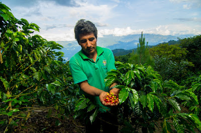 cafe peruano, ruta del cafe peruano, cafe Peru