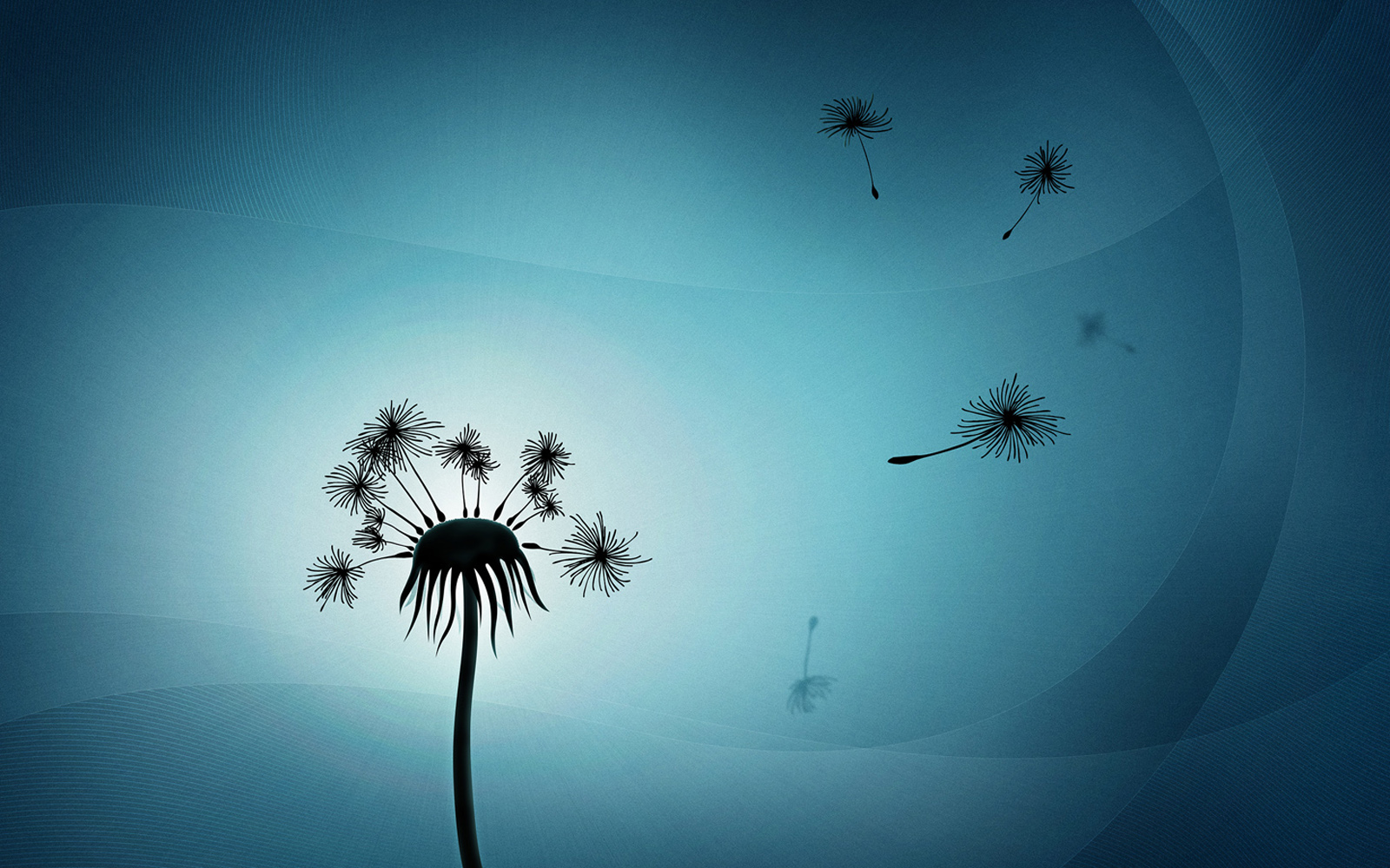 HD-+galaxy-s3-Dandelion+wallpaper+for+PC+desktop+wallpaper.jpg