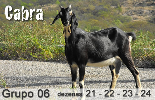 SOMA DO (( 21 )) JOGO DO BICHO!!! MILHAR-CENTENA-GRUPO-DEZENA 