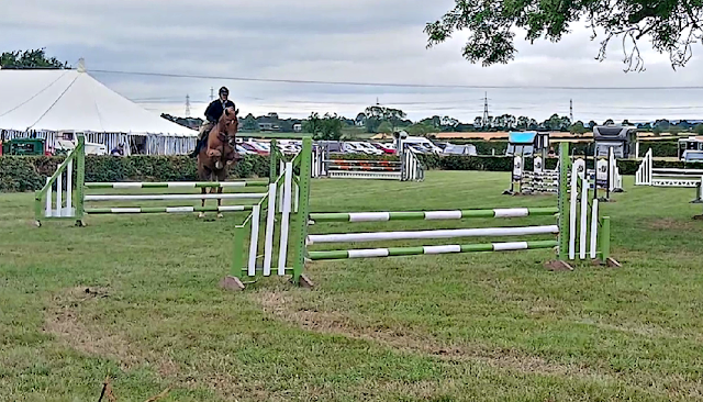Showjumping