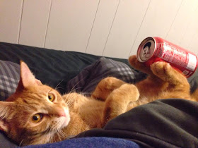Funny cats - part 90 (40 pics + 10 gifs), cat balancing soda can with his legs