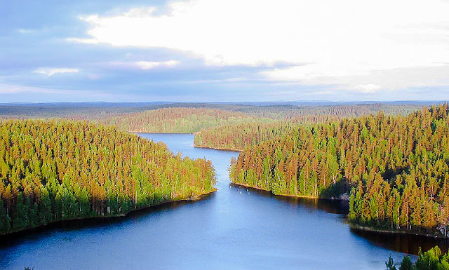Taman Nasional Repovesi di Finlandia tenggara