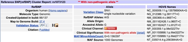dbSNP: esempio di polimorfismo (rs1073123)
